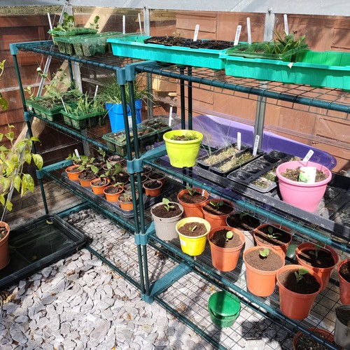 Woodside greenhouse - 2, x